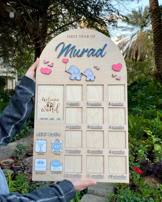 Baby Timeline Board