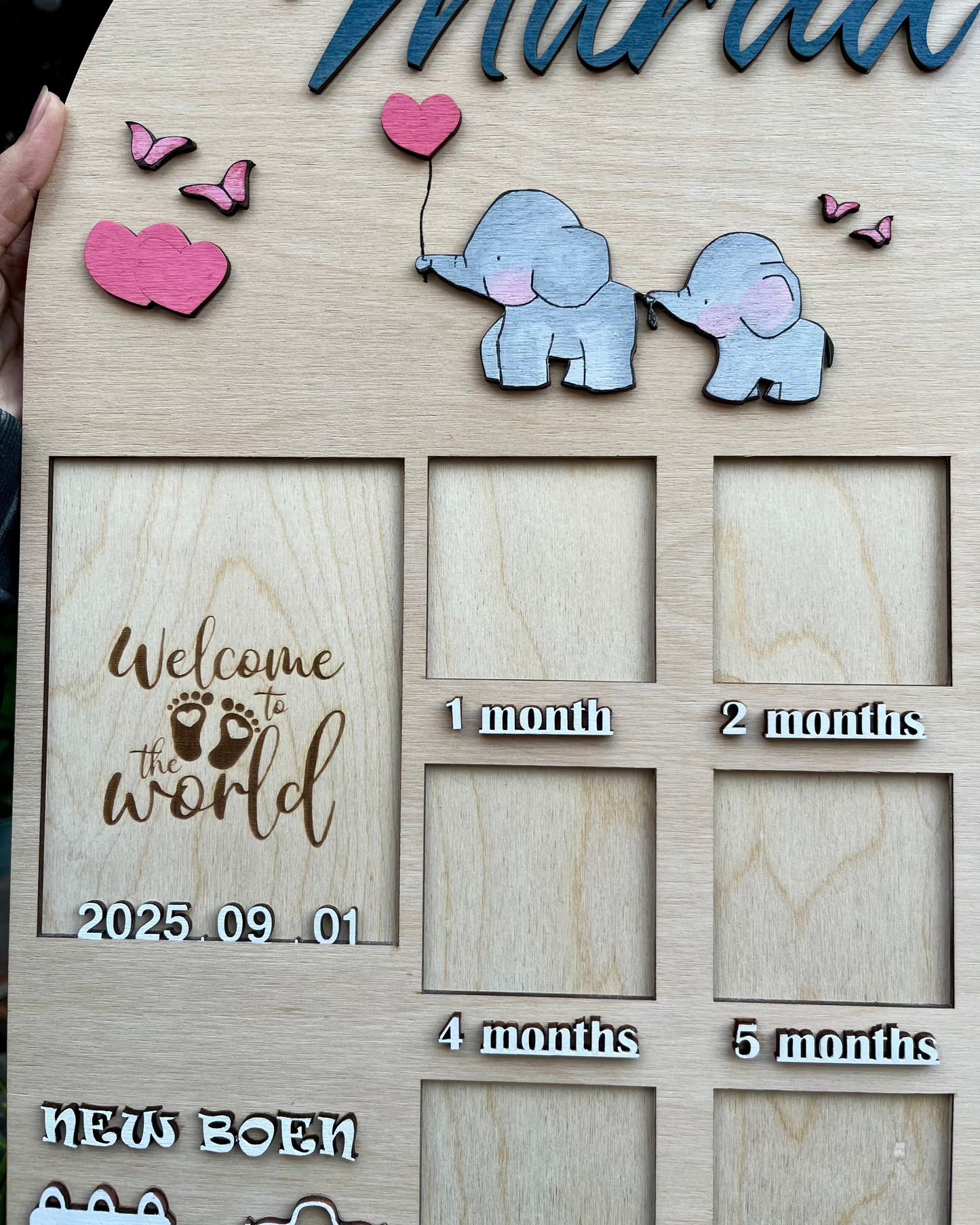 Baby Timeline Board