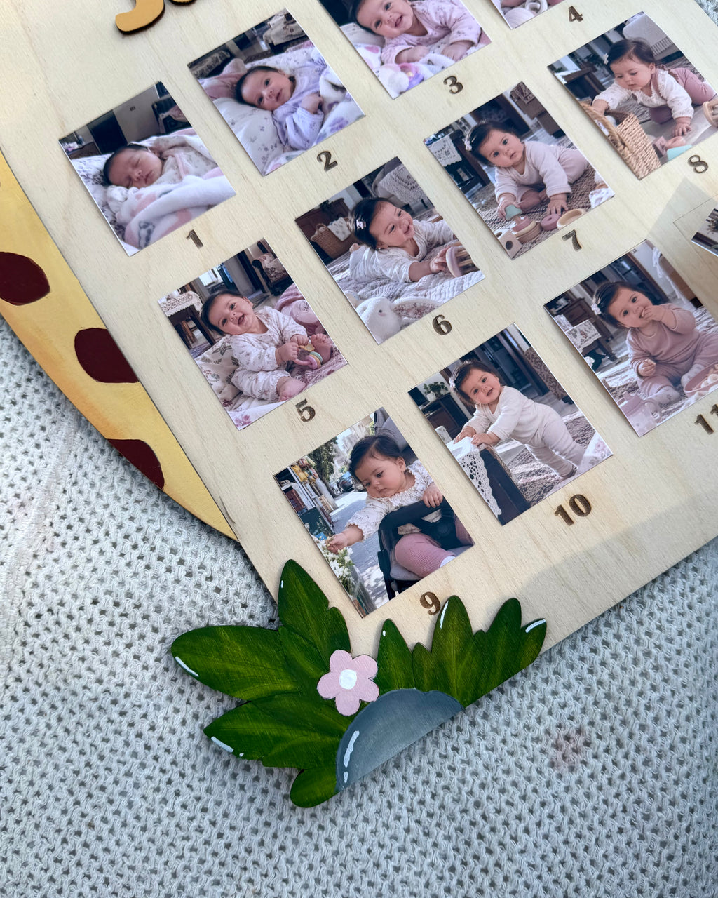 Giraffe Baby Board