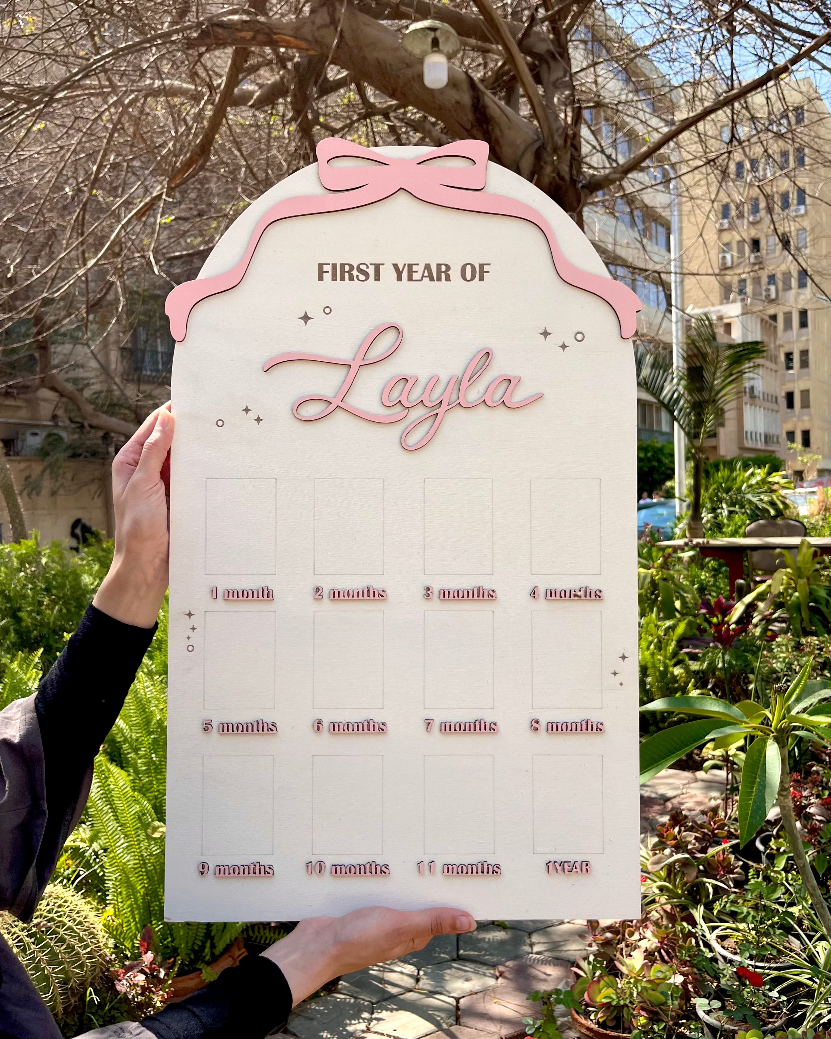 Fionke Baby Board