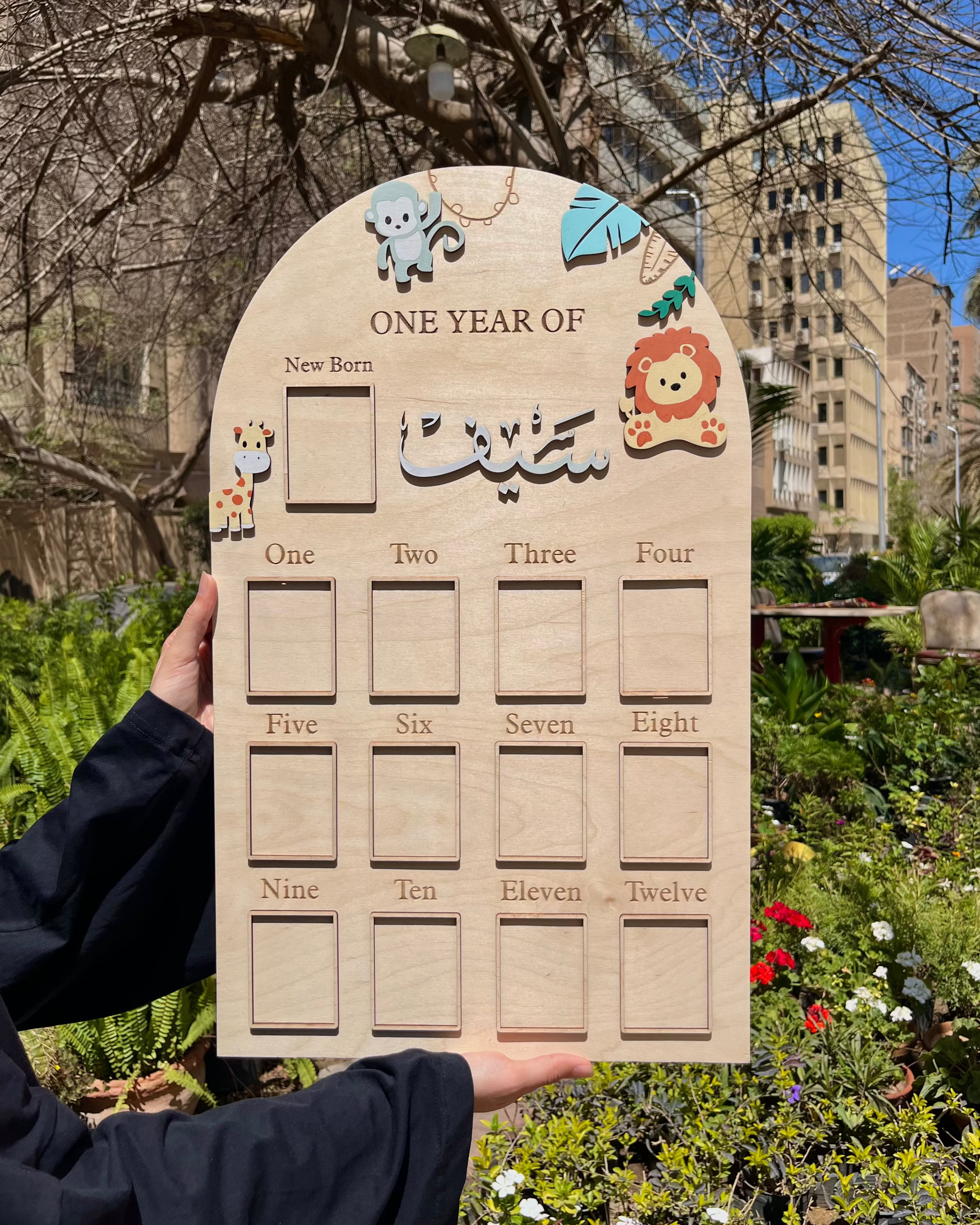 The Zoo Baby Board
