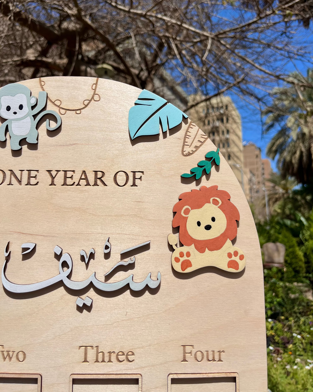 The Zoo Baby Board