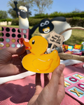 Duck Eid Box