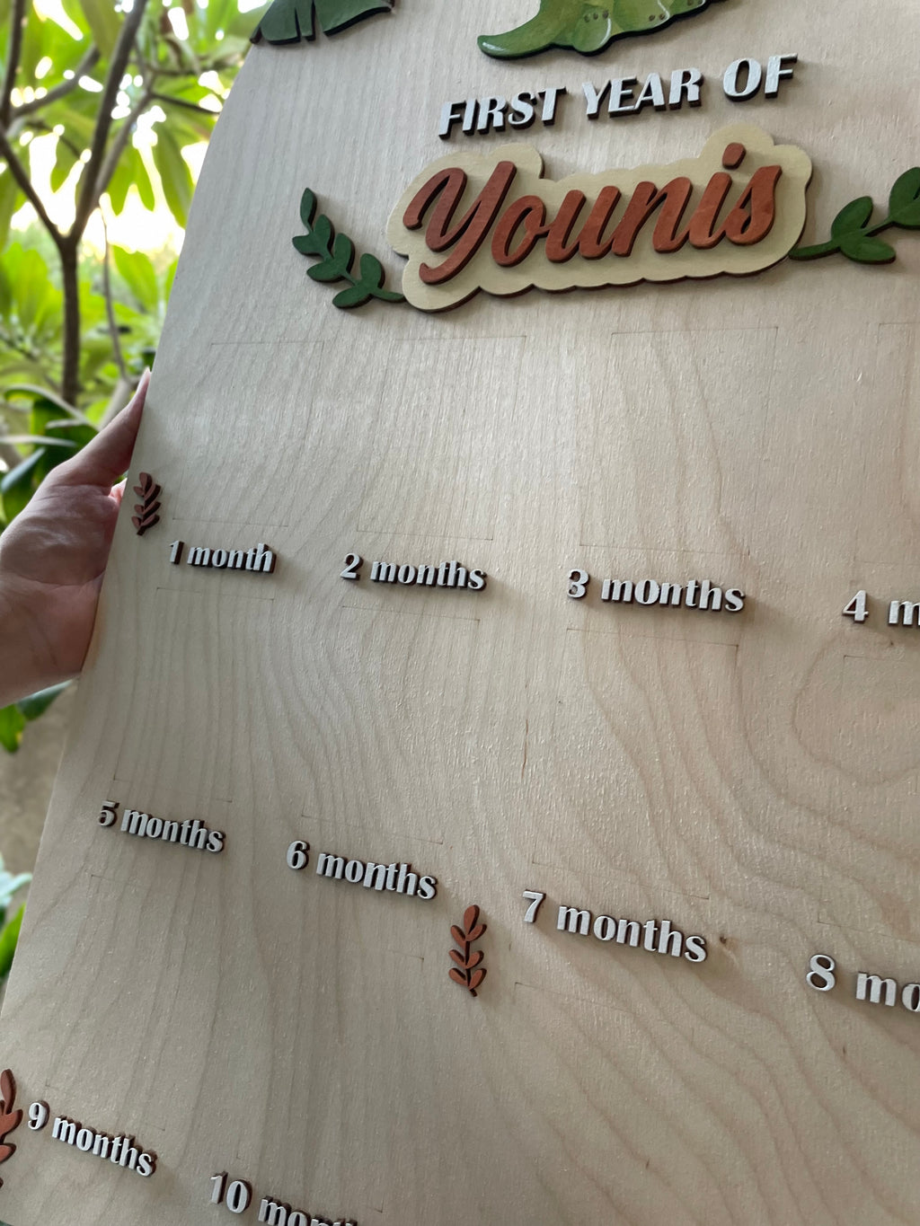 Dinosaur Baby Board