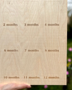 Bunny Baby Board